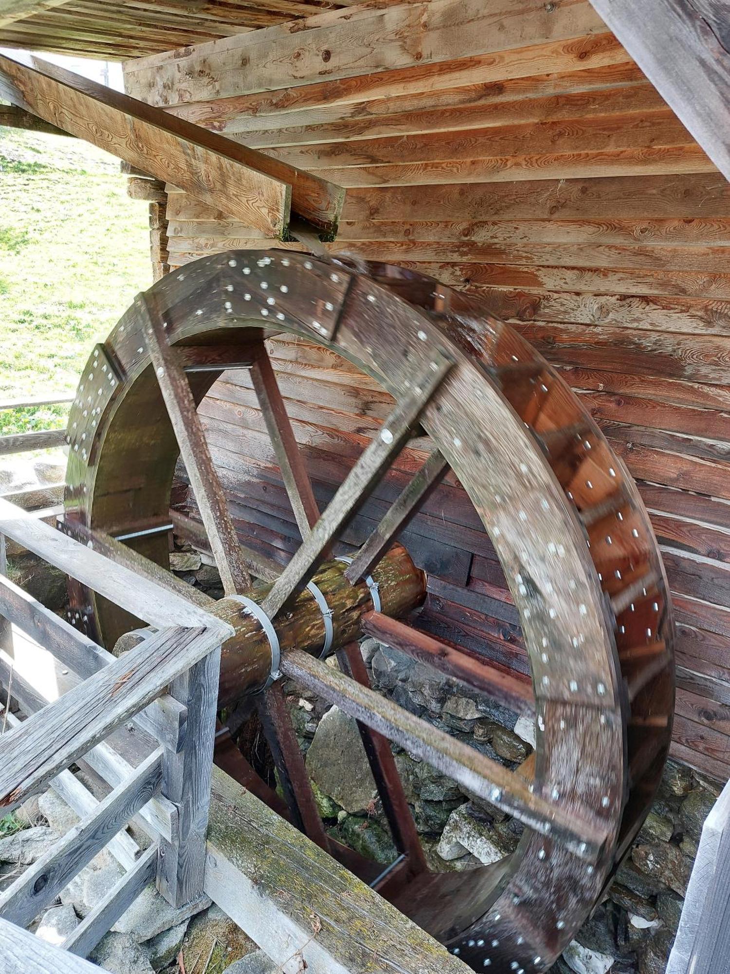 Blosegghof Bergchalets Waldblick Racines Dış mekan fotoğraf